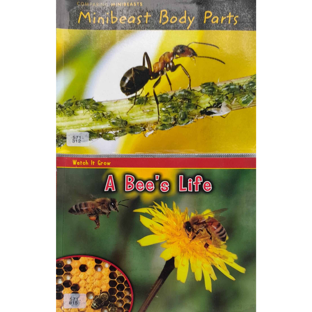 R54 Minibeast and bee's life 2 in 1 หนังสือมือสอง ปกอ่อน