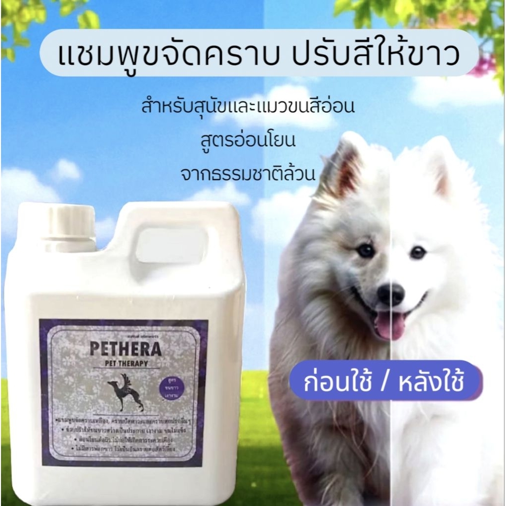 แชมพูเพื่อขนขาวหมดจดของสัตว์เลี้ยง สูตรออแกนิค ช่วยขจัดคราบสกปรกออกได้อย่างปลอดภัย