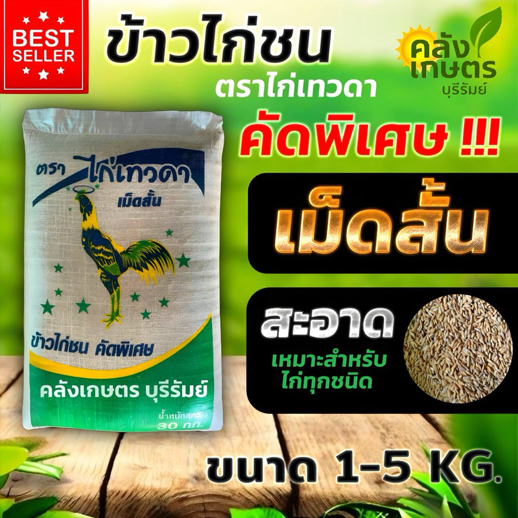 ข้าวไก่ชน เม็ดสั้น สะอาด ปลอดภัย ไม่คันคอ บรรจุ 800g -5KG. รับประกันคุณภาพ100%