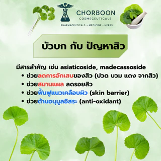 CHORBOON THAI HERBAL ANTI-ACNE CREAM