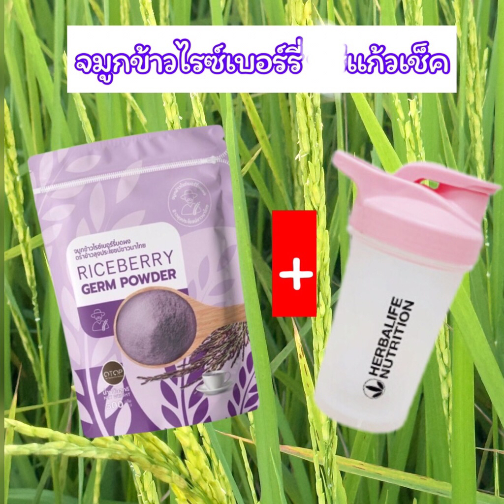 จมูกข้าวไรซ์เบอร์รี่บดผง ตราข้าวลุงประโยชน์ชาวนาไทย ขนาด 500กรัม + แก้วเช็ค โปรราคาพิเศษ