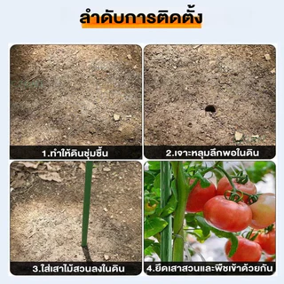 ไม้ค้ำต้นไม้ DIY ยาว90-180ซม. หนา11/16มม. โครงปลูกผัก เหล็กเคลือบพลาส ค้างไม้เลื้อย ตาข่ายไม้