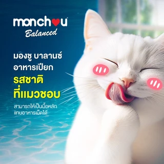 Monchou Balance มองชู บาลานซ์ อาหารเปียกแมวสารอาหารครบถ้วน ยกโหล 80gx12ซอง