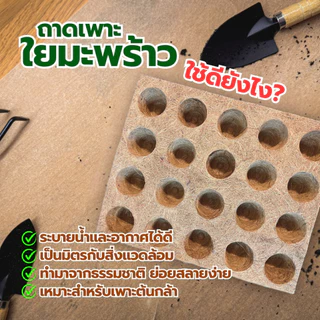 ถาดเพาะใยมะพร้าว 20 หลุม Coco Coir Seedling Tray วัสดุธรรมชาติ ปลอดสารพิษ อุ้มน้ำดี ย้ายลงดินได้เลย