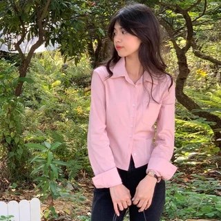 S-2XL เสื้อเชิ้ตแขนยาว เว้าเอว งานรัดรูป เสื้อแฟชั่นเกาหลี ผ้าคัตตอล