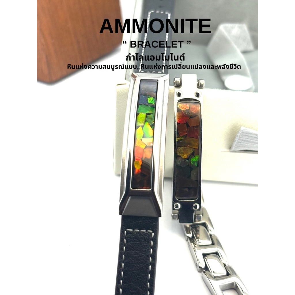 AMMONITE " BRACELET" กำไลแอมโมไนต์ หินแห่งความสมบูรณ์แบบ.หินแห่งการเปลี่ยนแปลงและพลังชีวิต