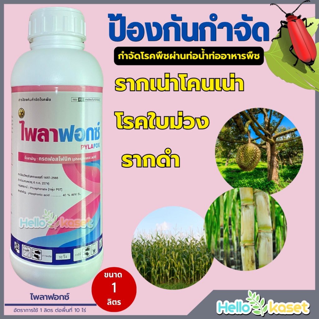 ไพลาฟอกซ์ สารป้องกันกำจัดโรคพืช โรคต้นเน่า โรคเน่า ขนาด 500 ซีซี หยุดการลุกลามของเชื้อรา