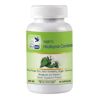 [1แถม1] พลูคาว คาวตอง Cordata ตรา บลูเบิร์ด ขนาด 600 มิลลิกรัม 60 แคปซูล