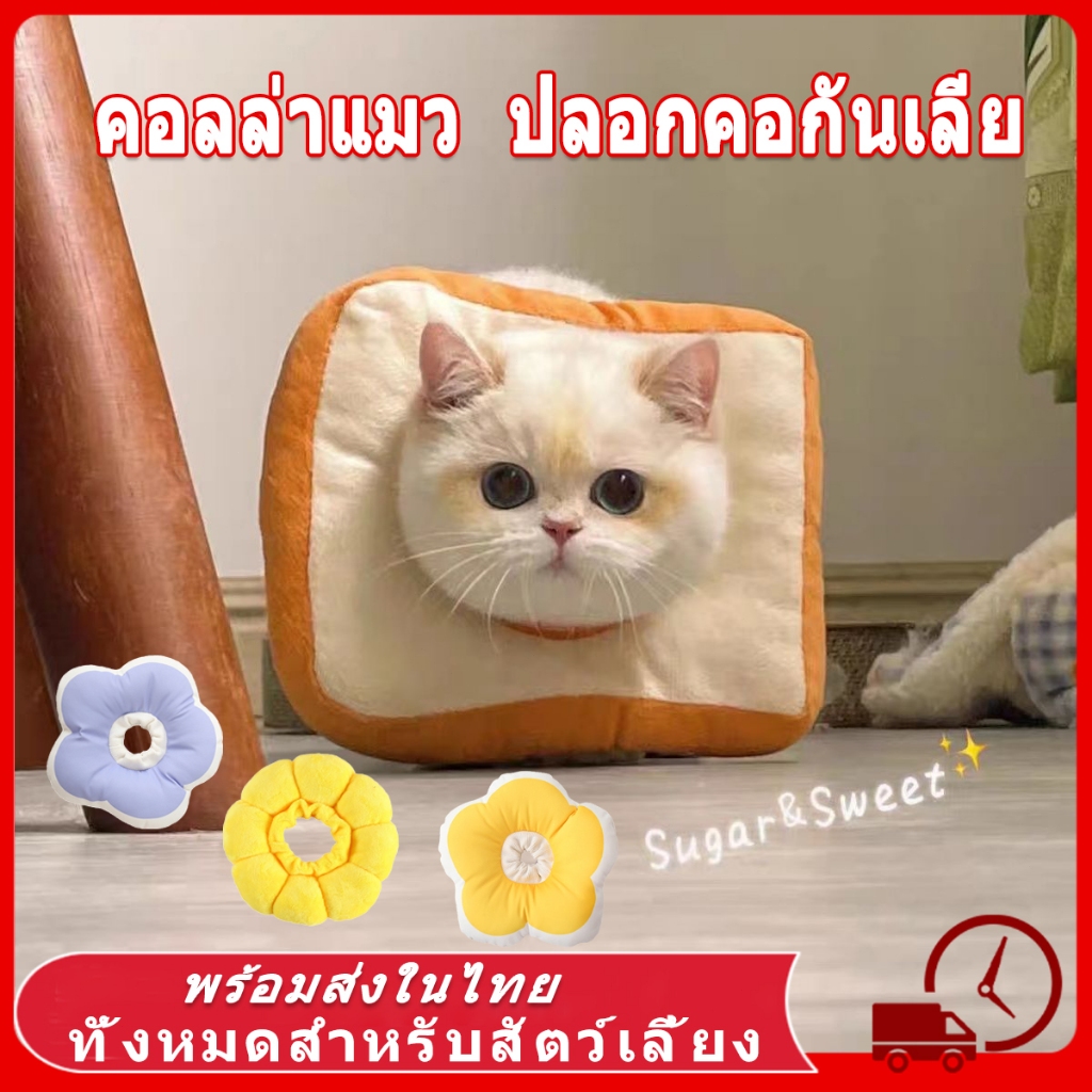 🏆 ปลอกคอแมว ปลอกคอกันเลีย ปลอกคอสัตว์เลี้ยง คอลล่ากันเลีย คอลล่าแมว คอลล่าสุนัข🎊รอบคอ ป้องกันการเลียแผลนุ่มนิ่มใส่สบาย