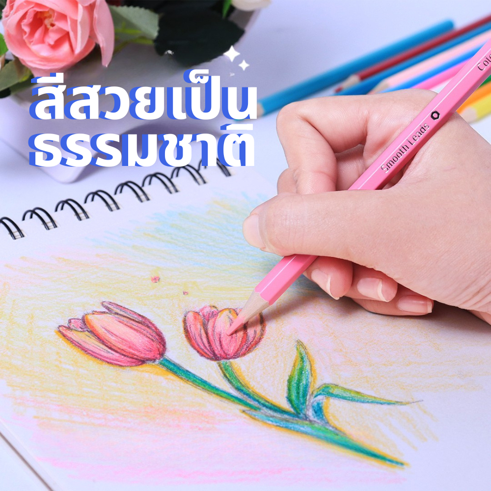 Bantex สีไม้ ดินสอสี แท่งยาว 24 สี  ระบายลื่น เฉดสีธรรมชาติ อุปกรณ์การเรียน ใช้ได้นาน Color pencil - รูปที่ 2