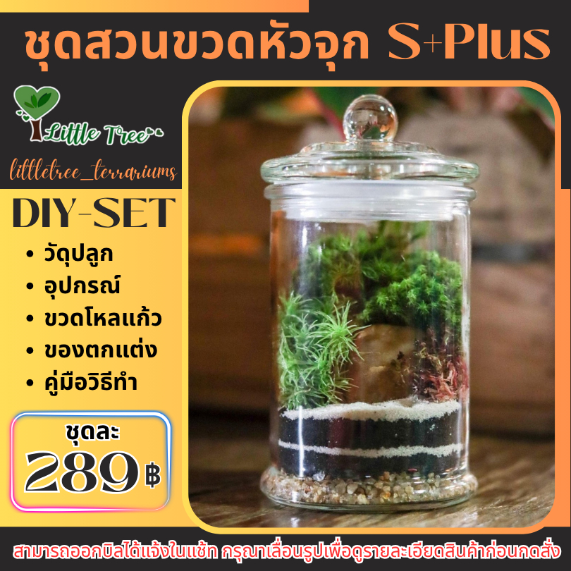 สวนขวดแก้ว DIY ชุดจัดพร้อมอุปกรณ์ ครบเซ็ท ไซต์ S+Plus สวนระบบปิด