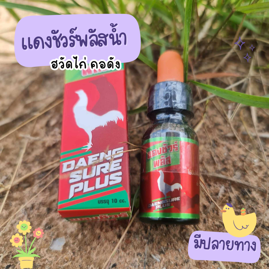 แดงพลัสน้ำ แดงชัวร์ (ฮวัด) อาหารไก่ชนิดน้ำ ใช้หยอดปากไก่