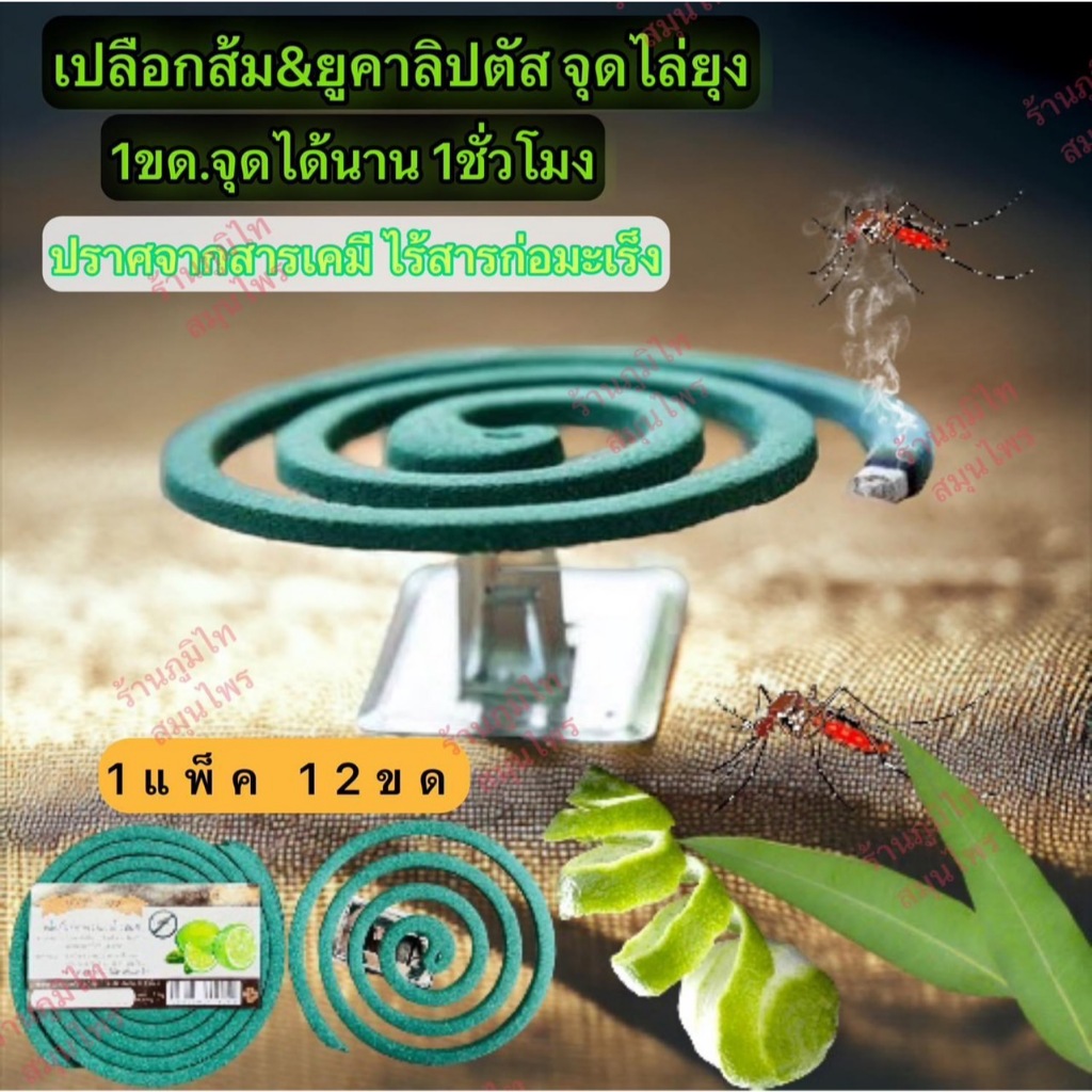 จุดกันยุงแบบขด (น้ำตาล/เขียว) ราคา ถูกที่สุด ดีลบีเคเค แกลเลอรีภาพที่ 4