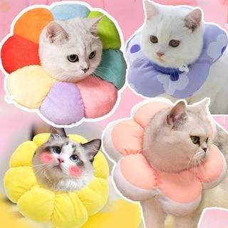 🎁COD🎀 ปลอกคอกันเลีย ปลอกคอสัตว์เลี้ยง คอลล่าแมว คอลล่าสุนัข🎊 นุ่มและสะดวกสบาย 🎈มีรูปร่างที่แตกต่างกัน