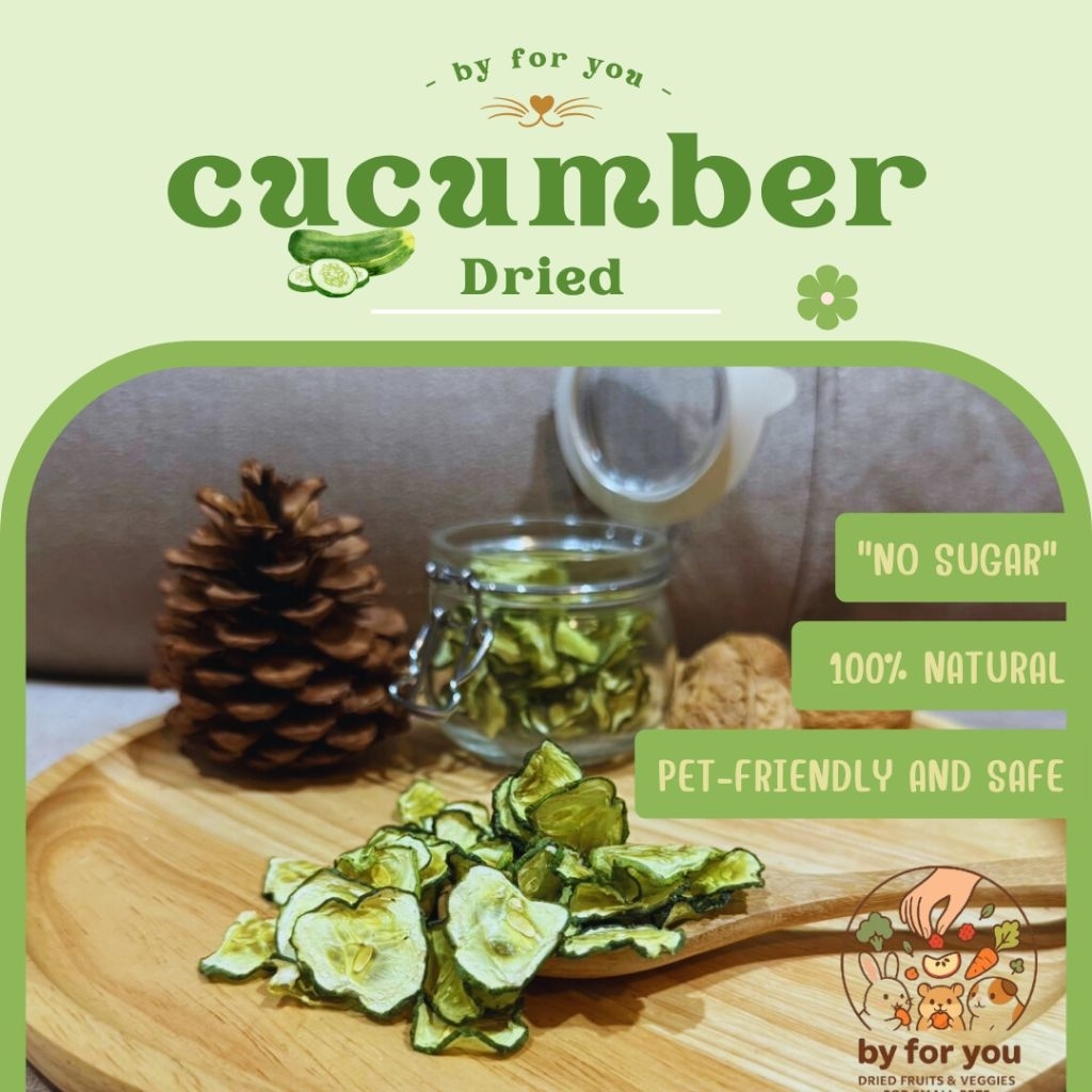 แตงกวาอบแห้ง by for you | ขนมผักอบแห้งสำหรับสัตว์เลี้ยงฟันแทะ หนู กระต่าย กระรอก นก เต่า