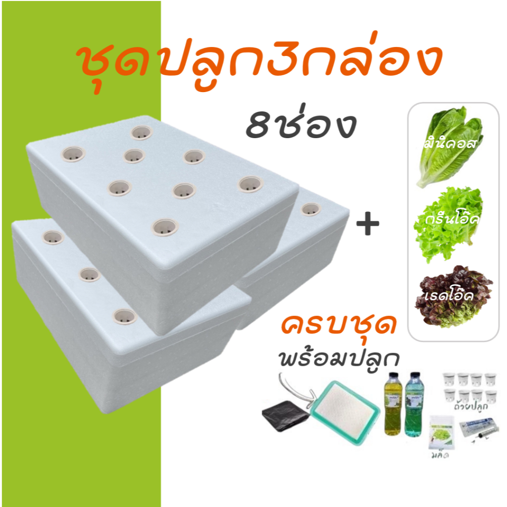 [ชุด3กล่องครบชุด] ชุดกล่องโฟมปลูกผักไฮโดรโปนิกส์ ปลูกผักไฮโดรโปนิกส์ hydroponic
