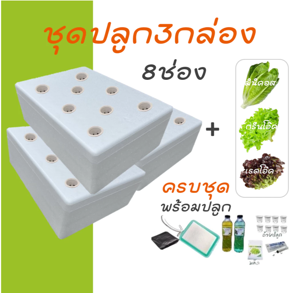 [ชุด3กล่องครบชุด] ชุดกล่องโฟมปลูกผักไฮโดรโปนิกส์ ปลูกผักไฮโดรโปนิกส์ hydroponic