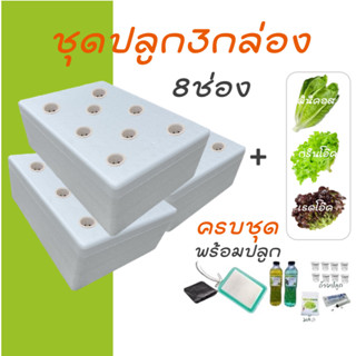 [ชุด3กล่องครบชุด] ชุดกล่องโฟมปลูกผักไฮโดรโปนิกส์  ปลูกผักไฮโ…