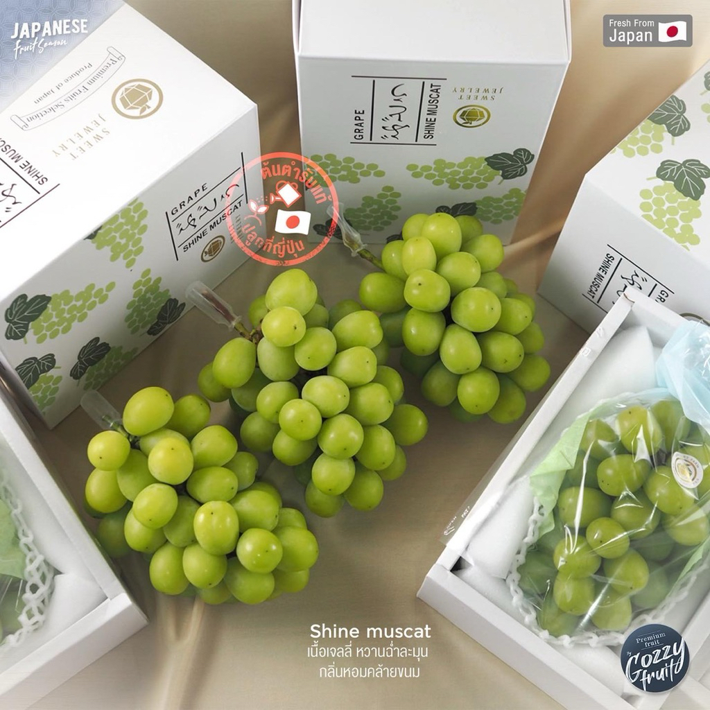 องุ่นญี่ปุ่นแท้ Shine muscat ต้นตำรับ รุ่นพรีเมี่ยม