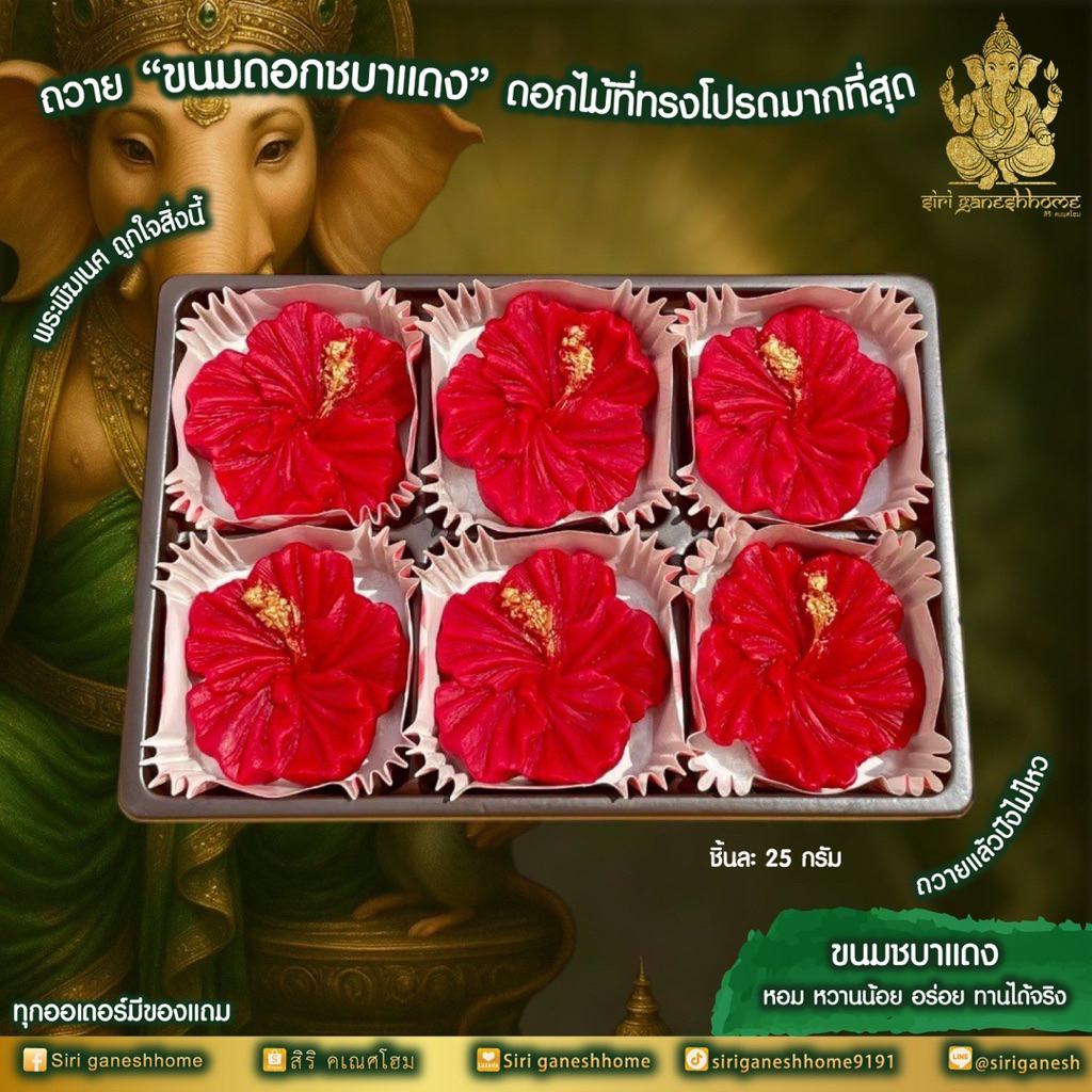 ขนมดอกชบา ดอกชบาสีแดง