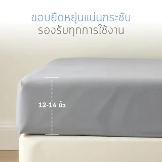Sofflin Living ผ้าปูที่นอนสัมผัสเย็น Cooling Bed Sheet ขนาด 3.5ft. 6 ft. (1แพ็ค 1ชิ้น)