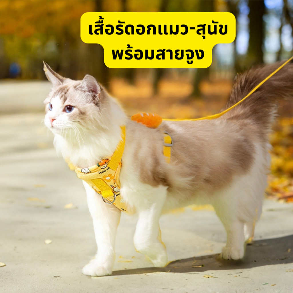 [Clearance] สายจูงหมา-แมว  สายรัดอกหมา-แมว สามารถปรับระดับได้