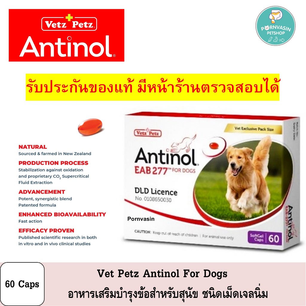 Antinol Dogs อาหารเสริม บำรุงข้อ สำหรับสุนัข 60เม็ด