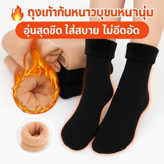 พร้อมส่ง🇹🇭 ถุงเท้าบุขน ถุงเท้ากันหนาวแบบพรีเมี่ยม (เกรดA) อบ…