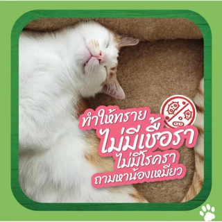 Cat’s Best Smart pellets แคทเบส สูตรสมาร์ทเพลเล็ท สำหรับแมวขนยาวทุกสายพันธุ์ ขนาด 20 ลิตร ( 10 kg.)