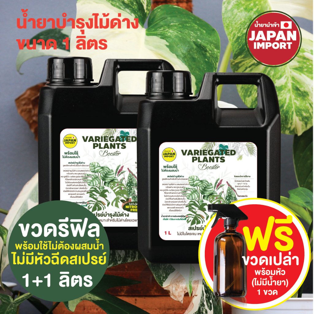 รีฟิล V 2 ลิตร น้ำยาบำรุงไม้ด่าง แกลลอนรีฟิล ฟรีขวดสเปรย์