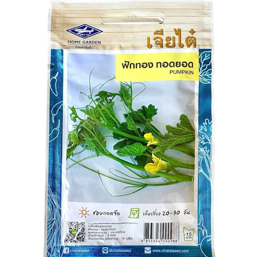 ฟักทอง กินยอด (ประมาณ 25 เมล็ด)