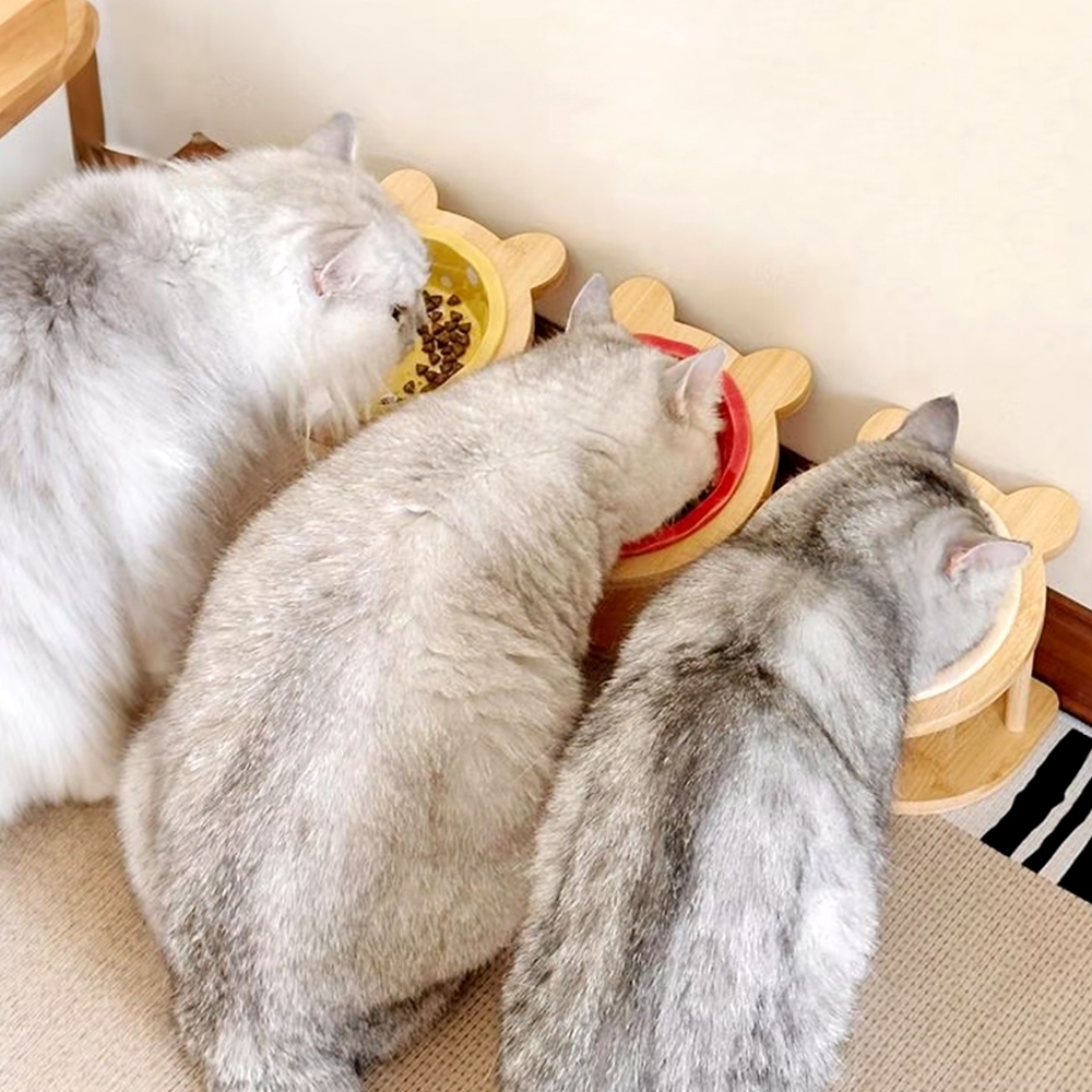 Furry Diary ชามแมว ชามเซรามิก จานข้าวแมว ลายจุด สีสันสดใส ชามและฐานขาตั้งไม้ ชามอาหารยกสูง รูปที่ 2