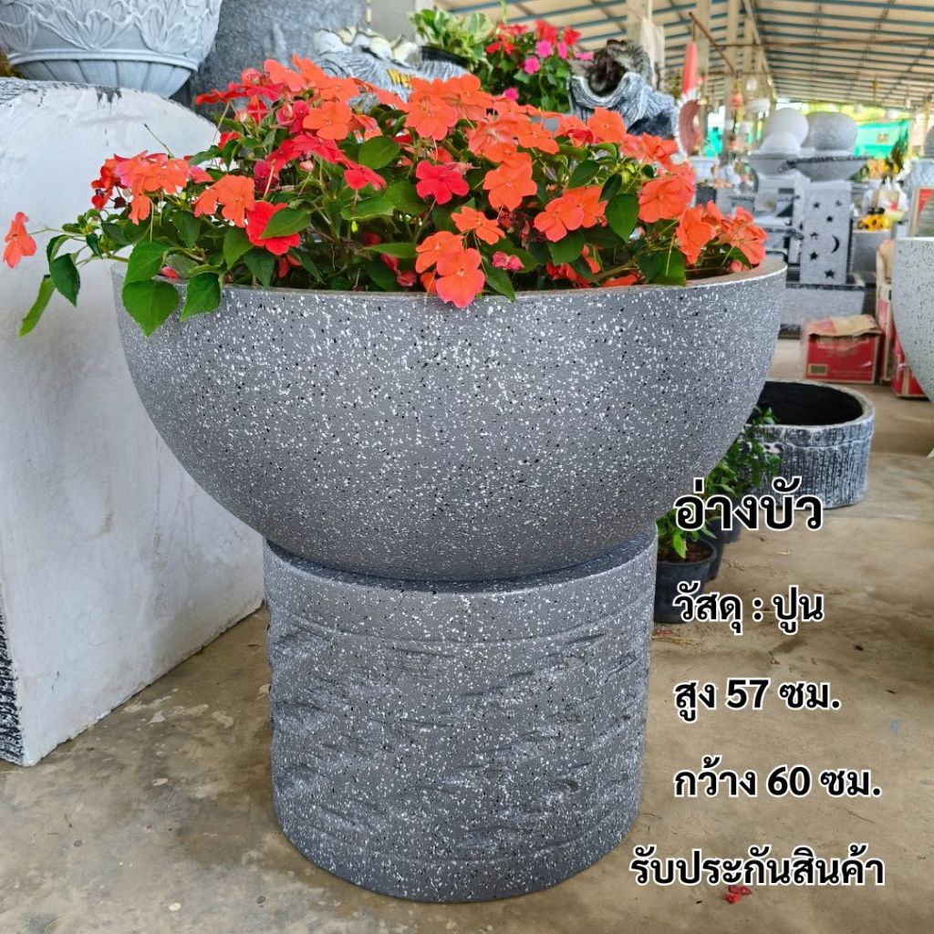 อ่างบัว อ่างเลี้ยงปลา อ่างปูน อ่างเลี้ยงไม้น้ำ อ่างเลี้ยงบัว อ่างน้ำหน้าบ้าน จัดสวน แต่งสวน