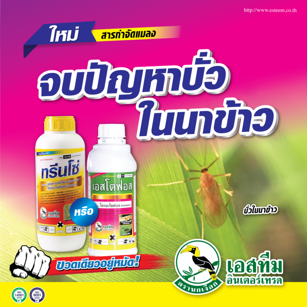 ขนาด 5 ลิตร เอสโตฟอส เอสทีม กำจัดหนอน เพลี้ย ไร ชนิดดูดซึมและกัดกิน - รูปที่ 2