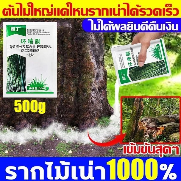 💥ยากำจัดต้นไม้สารกำจัดกอไผ่ผงกำจัดต้นไผ่ยาฆ่าตอไม้ ผลติดทนนาน สารกำจัดก่อไผ่ สารฆ่ากอไผ่ /500g