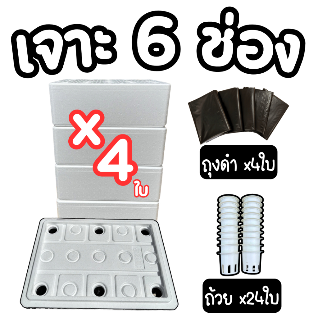 กล่องโฟมรุ่นหนาพิเศษ กล่องโฟมปลูกผัก (*ชุด 4 ใบ*) พร้อมถ้วยปลูก (*ครบช่อง*) และ ถุงรองกล่องโฟม รูปที่ 4