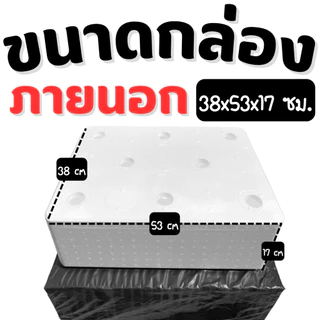 กล่องโฟมปลูกผักรุ่นหนา กล่องปลูกผัก (*หนาพิเศษ*) กล่องโฟม พร้อมเจาะรูฟรี 6 8 15 ช่อง
