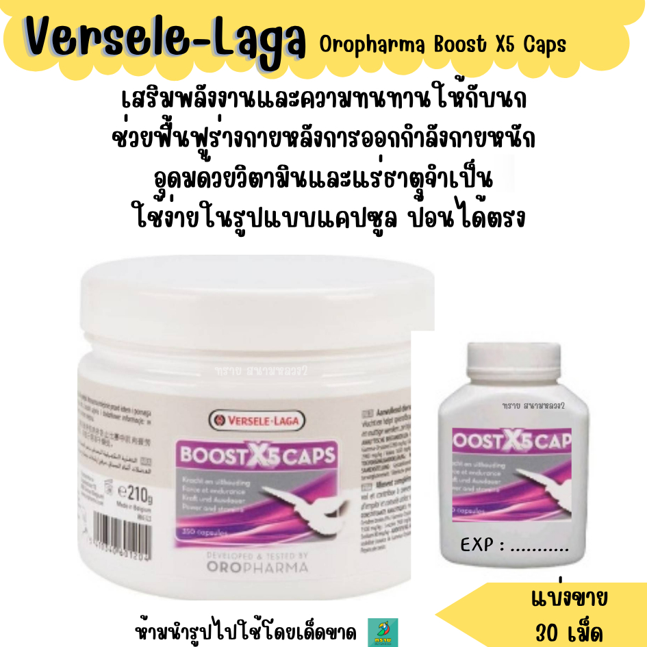 Oropharma Boost X5 Caps (แบ่งขาย 30 เม็ด) เพิ่มพลังงาน นกพิราบ นก ไก่ชน