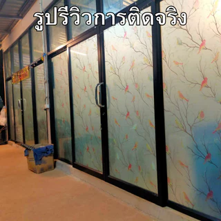 ฟิล์มติดกระจกบ้าน อัลบั้มลายมีสี สุญญากาศ กันคนมองเห็น ติดตั้งง่าย กันแสงแดด ฟิล์มฝ้าติดกระจก สติกเกอร์ติดกระจก