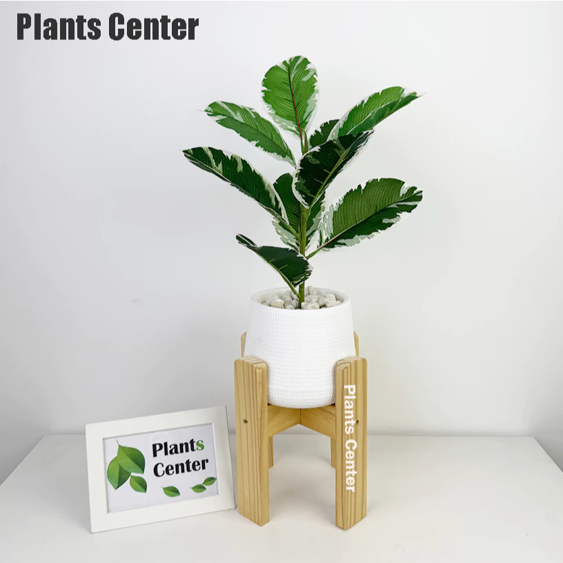 Plants Center ต้นไม้ปลอม 9ใบ สูง 45-55ซม รวมไม้ยอดนิยม ไม้มงคล ตกแต่งบ้าน แต่งสวน  P008 thumbnail 7