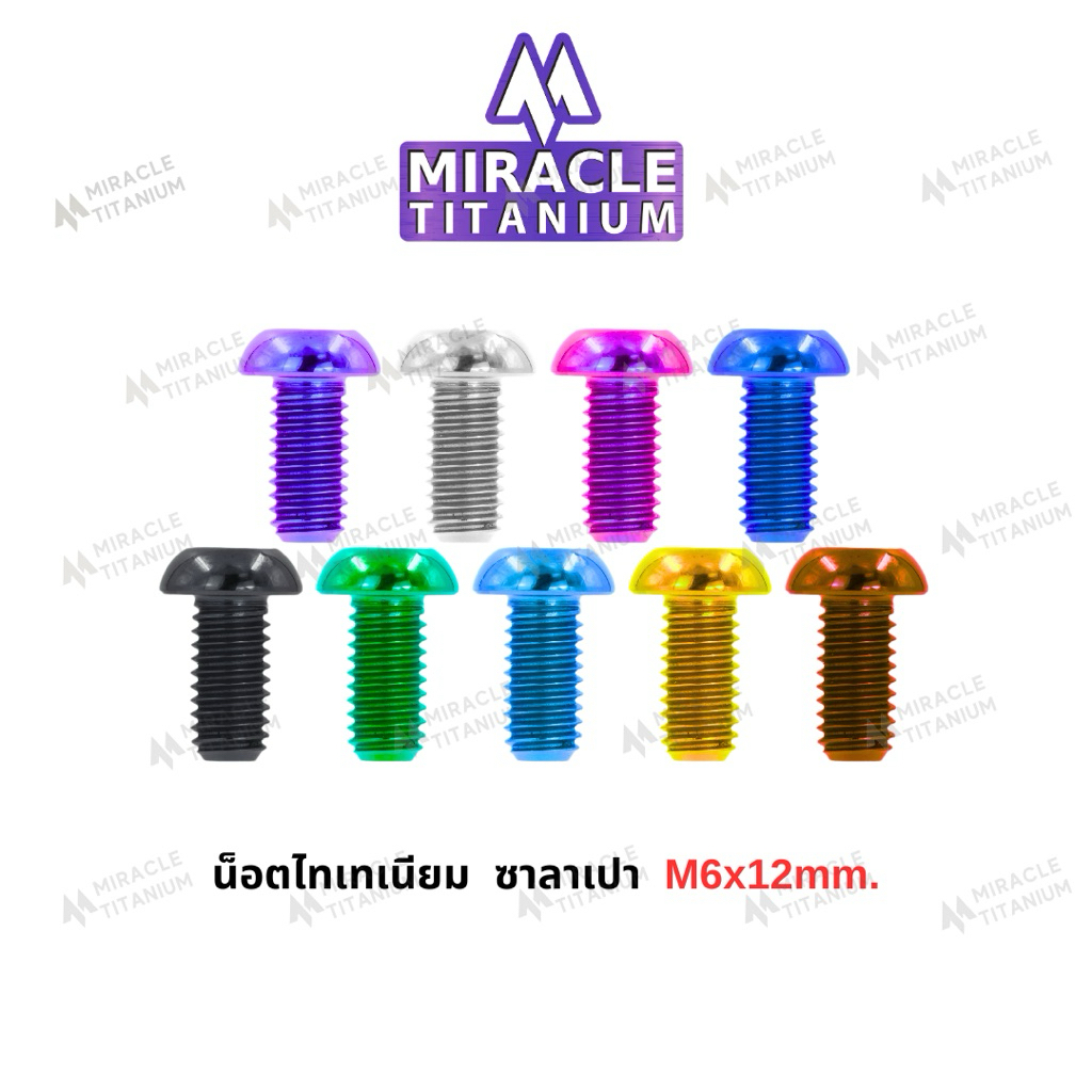 Button Head หัวซาลาเปา M6 x 12 mm