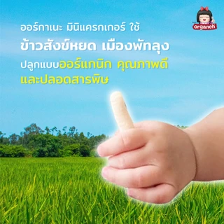 ขนมเด็ก ออร์กาเนะ พัฟฟ์ข้าวกล้องงอกสำหรับเด็ก 6 เดือนขึ้นไป