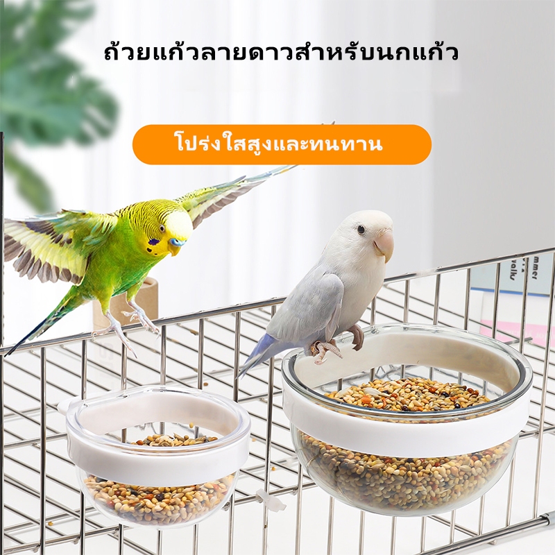 ถ้วยอาหารและน้ำนกแก้ว ชามให้อาหารนกพลาสติกใส ถอดออกได้ สะดวกแขวน สำหรับกรง นกแก้ว อุปกรณ์สัตว์เลี้ยง