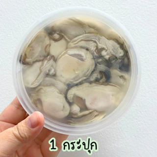 ‼️หอยนางรมสด+ฟรีน้ำจิ้มซีฟู้ด‼️หอยตัวใหญ่🦪 คัดเน้นๆ สดสะอาด พร้อมส่งทั่วไทย🛺
