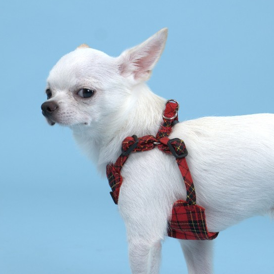 [Toto&Pal] Royal Tartan Fit Harness | สายรัดอกแบบกระชับ รุ่นรอยัลทาร์ทัน
