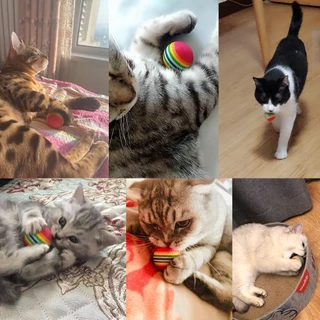 PETStar1 ของเล่นสัตว์เลี้ยงลูกสุนัขลูกแมวของเล่นลูกแมว Rainbow Chew Interactive Ball