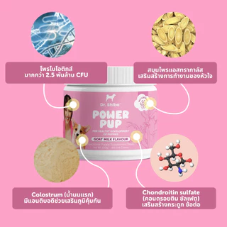 Dr. Shiba Power Pup อาหารเสริมสำหรับลูกสุนัข สูตรนมแพะ มีวิตามิน โพรไบโอติก โคลอสตรัม (น้ำนมเหลือง) 120 กรัม 80 เม็ด