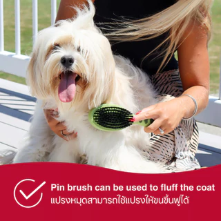 🇺🇸นำเข้าจาก USA🇺🇸 Safari by Coastal Pin and Bristle Combo Dog Brush แปลงขนสุนัข 2 ด้าน