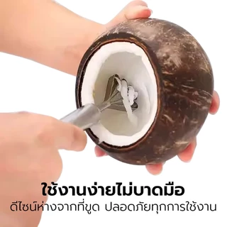 Alechaung ที่ขูดมะพร้าว ที่ขูดแครอท ที่ขูดเกล็ดปลา ที่ขูดผลไม้ อุปกรณ์ขูดอาหาร ใช้งานง่าย สแตนเลสอย่างดี