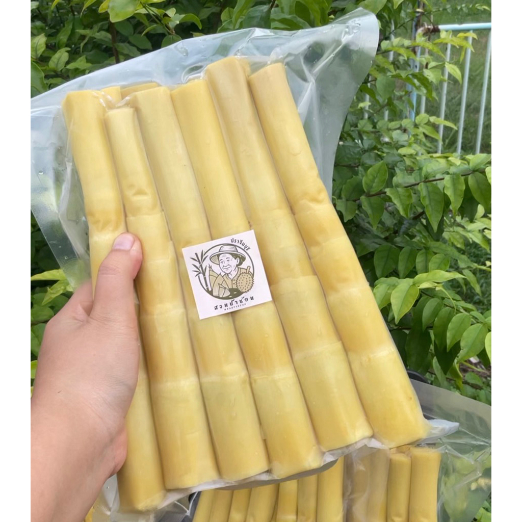 หน่อไม้ไผ่หวานสดต้มสุก(หน่ออวบ) 500g-1กิโลกรัม พร้อมทาน รูปที่ 7